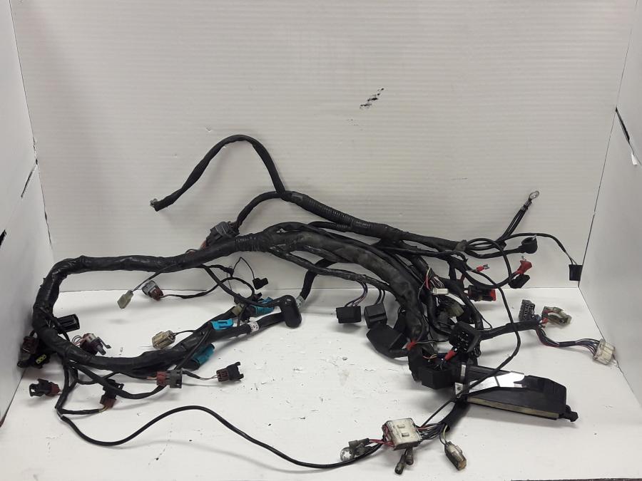 Framsidan på Kabelstam från en Triumph Tiger -1999 motorcykel.