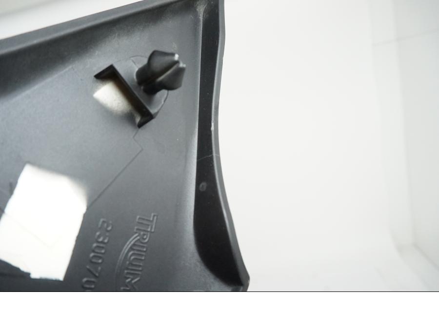 Extrabild1 på Sidopanel från en Triumph Speed Triple -2009 motorcykel.