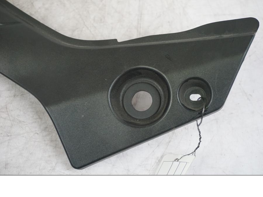 Baksidan på Sidopanel från en Triumph Tiger -2009 motorcykel.