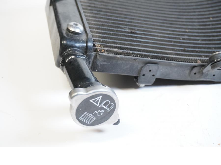 Baksidan på Vattenkyl från en Triumph Tiger -2012 motorcykel.