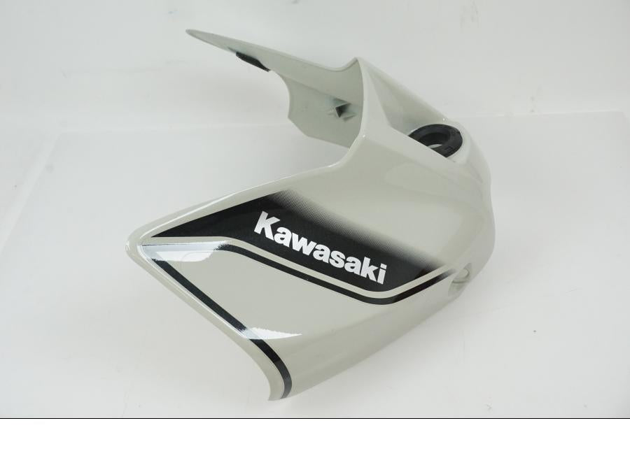 Baksidan på Bensintankskåpa från en Kawasaki ER-6N -2016 motorcykel.