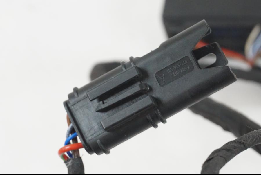 Vänster sida på Kablage från en BMW R 1250 GS -2021 motorcykel.