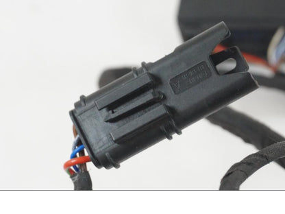 Vänster sida på Kablage från en BMW R 1250 GS -2021 motorcykel.