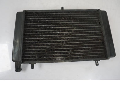 Snett uppifrån på Vattenkyl från en Aprilia RS 125 -2000 motorcykel.