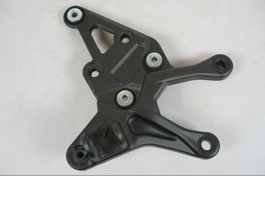 Framsidan på Fotpinnefäste från en Kawasaki Z 900 -2021 motorcykel.