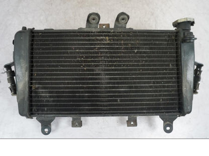 Framsidan på Vattenkyl från en Triumph Tiger -2009 motorcykel.