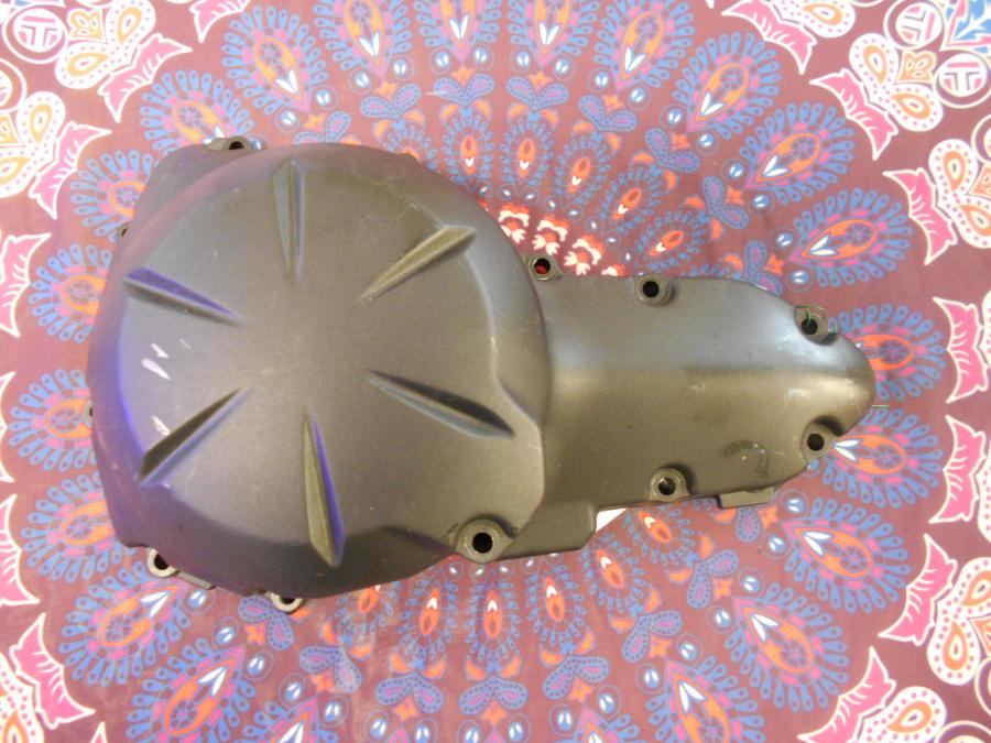 Framsidan på Generatorkåpa från en Kawasaki Versys 650 -2011 motorcykel.