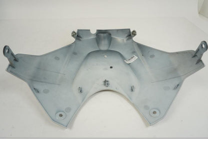 Extrabild1 på Tankkåpa från en BMW S 1000 R -2019 motorcykel.