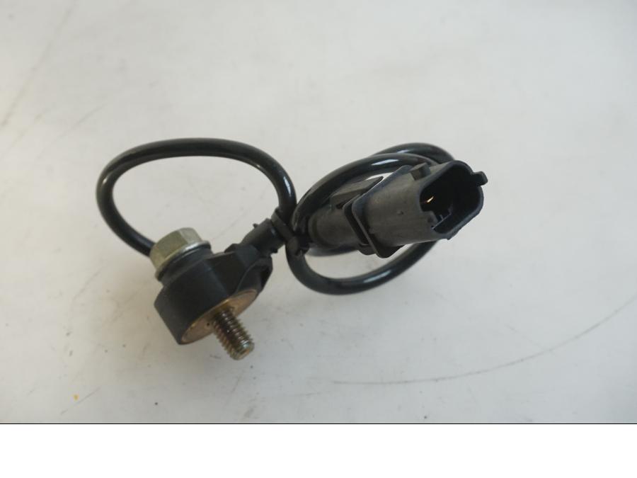 Baksidan på Knacksensor från en Indian Chieftain Dark Horse -2019 motorcykel.