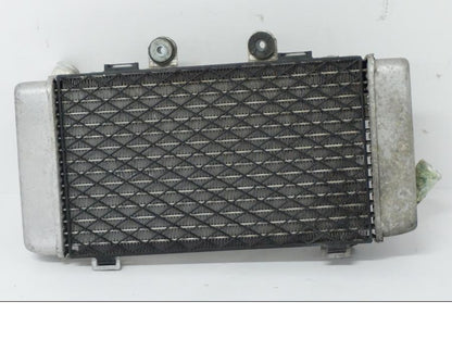 Baksidan på Vattenkyl från en Honda XL 1000 V -1999 motorcykel.