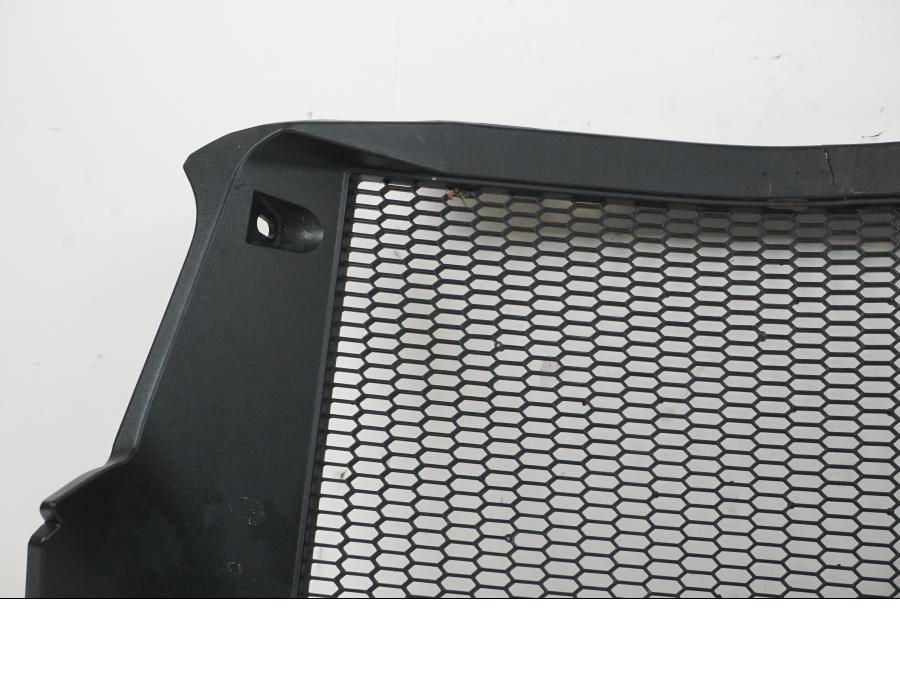 Höger sida på Vattenkylgaller från en BMW F 750 GS -2019 motorcykel.