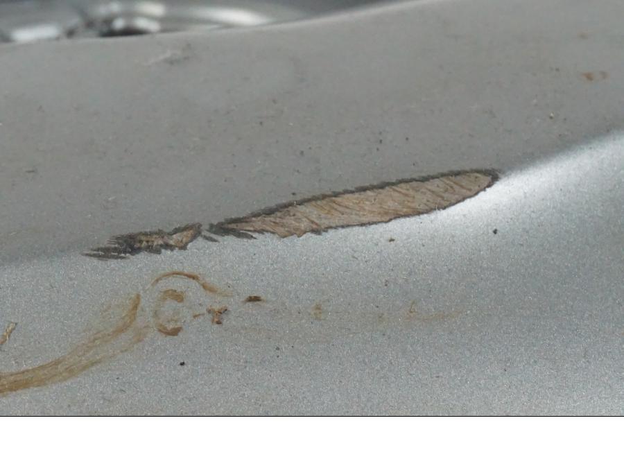 Snett uppifrån på Ventilkåpa från en BMW R 1200 GS -2018 motorcykel.