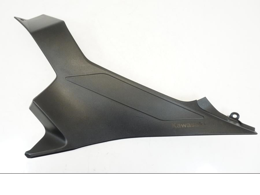Framsidan på Sidopanel från en Kawasaki NINJA 400 -2020 motorcykel.