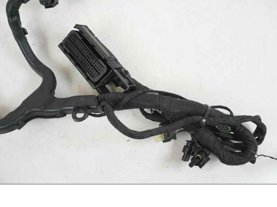 Höger sida på Kabelstam från en BMW R 1250 GS -2021 motorcykel.