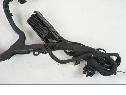 Höger sida på Kabelstam från en BMW R 1250 GS -2021 motorcykel.