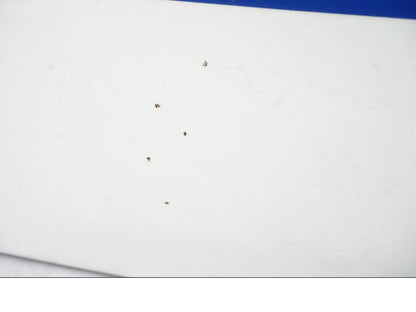 Snett nerifrån på Bakvinge från en Honda CBR 1000 F -1989 motorcykel.