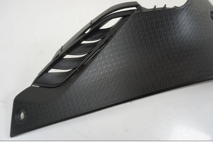 Vänster sida på Sidopanel från en BMW S 1000 R -2019 motorcykel.