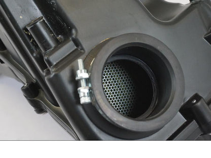 Baksidan på Luftburk från en Triumph Trident -2021 motorcykel.