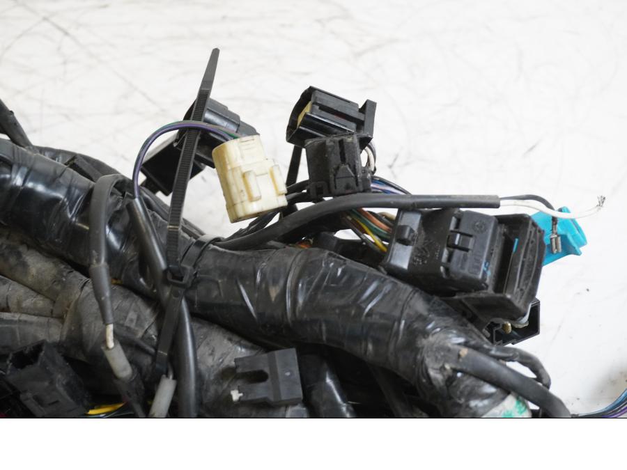 Höger sida på Kabelstam från en Triumph Tiger -2004 motorcykel.