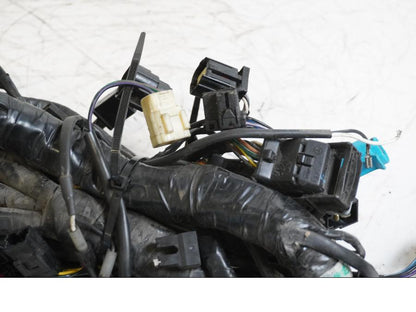 Höger sida på Kabelstam från en Triumph Tiger -2004 motorcykel.