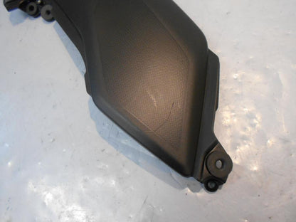 Höger sida på Sidopanel från en Kawasaki Z 900 -2018 motorcykel.