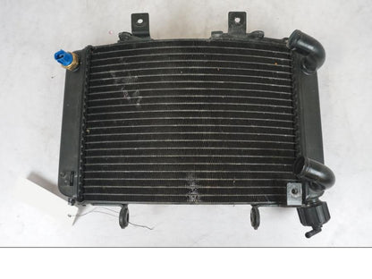 Extrabild3 på Vattenkyl från en KTM 690 SM R -2009 motorcykel.