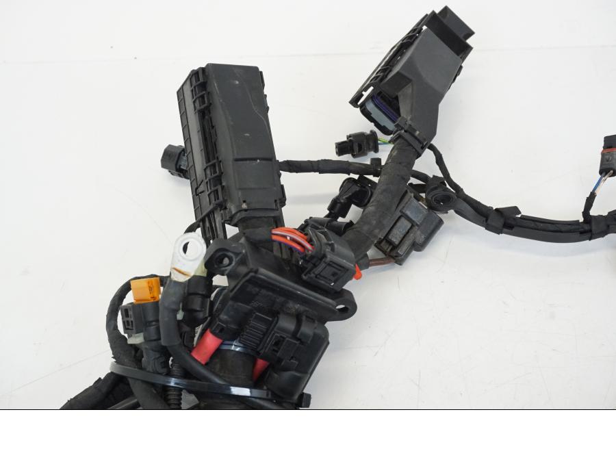 Extrabild3 på Kabelstam från en BMW R 1250 GS -2019 motorcykel.