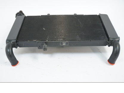 Baksidan på Vattenkyl från en Honda CB 650 R -2019 motorcykel.