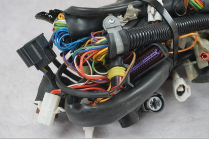 Extrabild1 på Kabelstam från en KTM 690 SM R -2009 motorcykel.