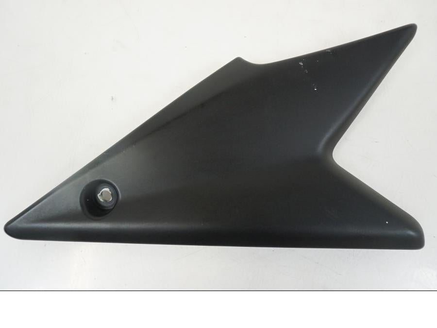 Framsidan på Sidopanel från en Triumph Speed Triple -2009 motorcykel.