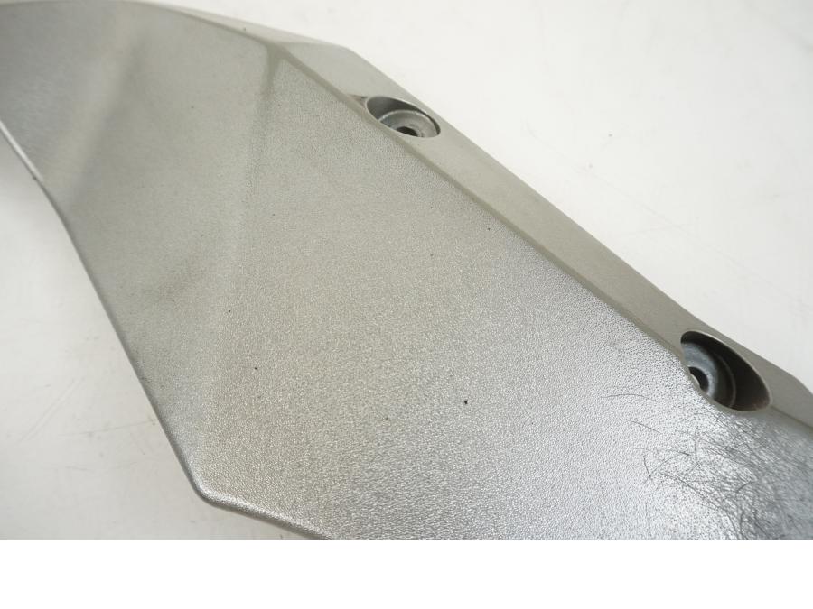 Vänster sida på Ramskydd från en Kawasaki Z 750 -2006 motorcykel.