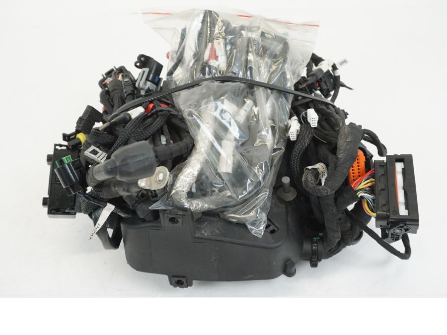 Baksidan på Kabelstam från en Ducati Streetfighter V4 -2020 motorcykel.