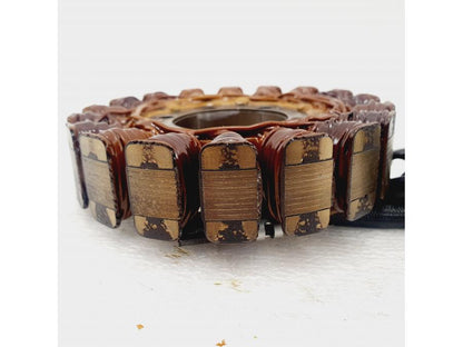 Höger sida på Generator från en Honda CBR 900 RR -2003 motorcykel.