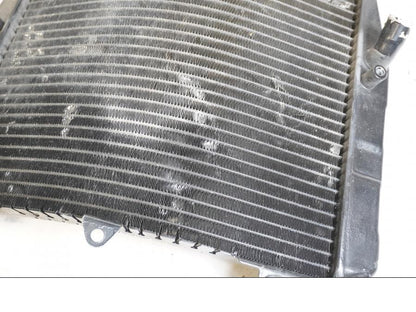 Extrabild1 på Vattenkyl från en Suzuki RF 600 R -1996 motorcykel.