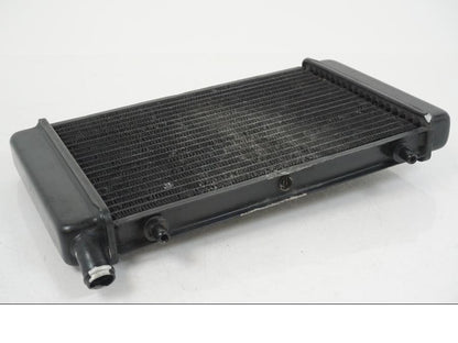 Extrabild2 på Vattenkyl från en Aprilia RS 125 -2008 motorcykel.