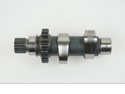 Extrabild1 på Kamaxel från en H-D Touring Road King FLHR/I -2000 motorcykel.