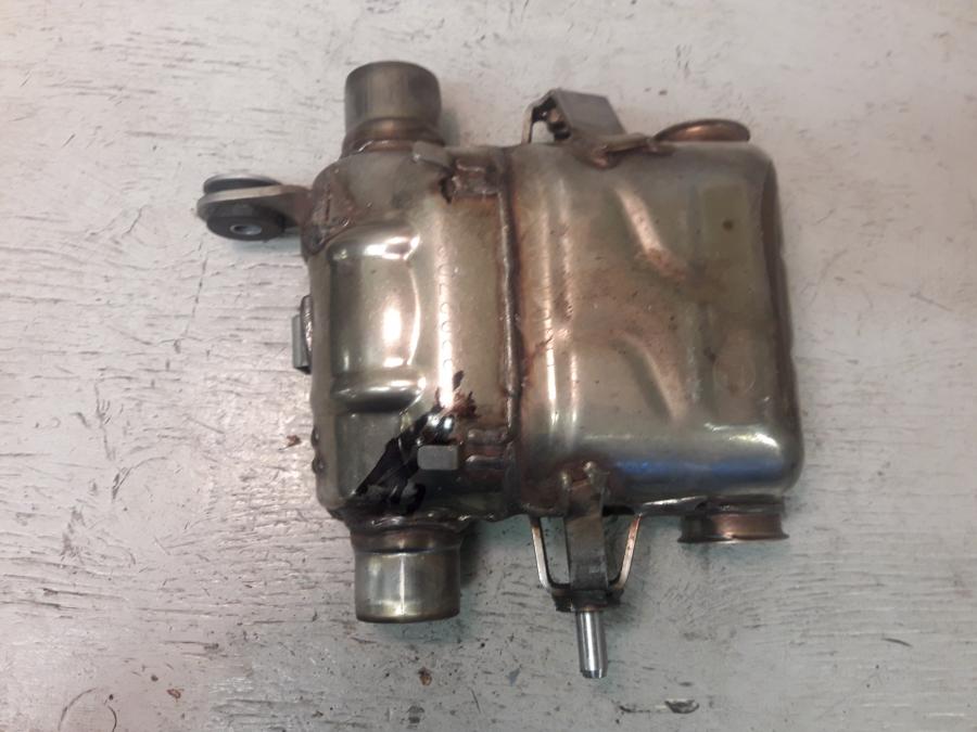 Framsidan på Mellanburk från en Triumph Speed Twin -2019 motorcykel.