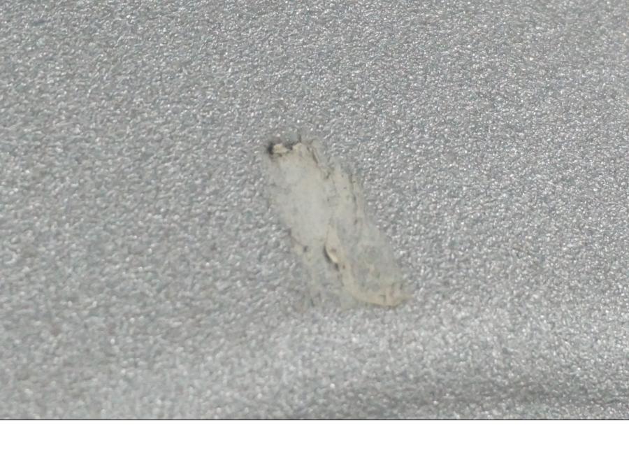 Vänster sida på Fälg från en H-D Softail Standard FXST -2001 motorcykel.