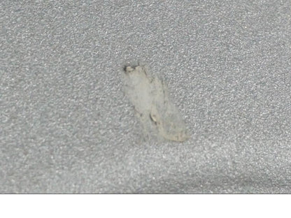 Vänster sida på Fälg från en H-D Softail Standard FXST -2001 motorcykel.