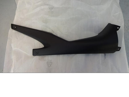 Framsidan på Sidopanel från en Aprilia RS 125 -2005 motorcykel.