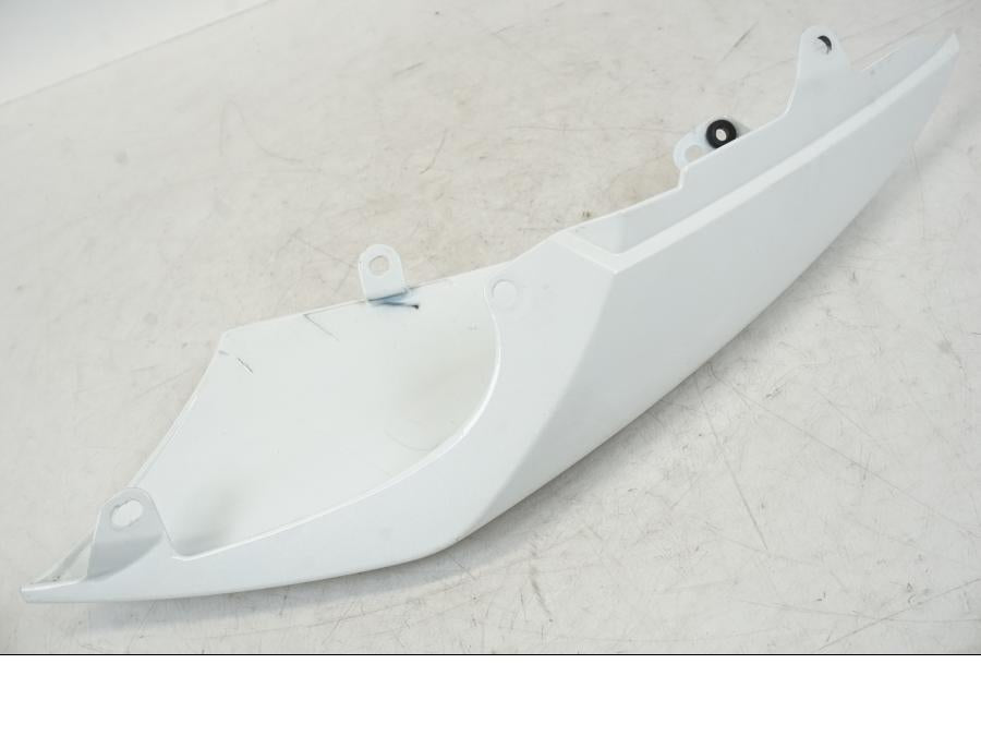 Extrabild1 på Sidopanel från en Triumph Speed Triple -2021 motorcykel.