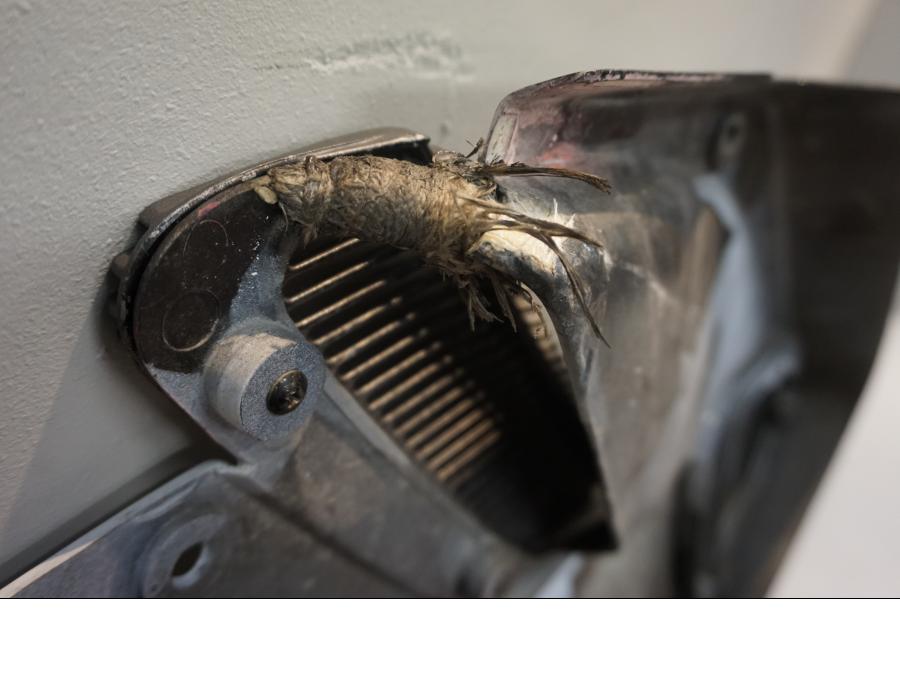 Snett nerifrån på Sidkåpa från en Honda NSR 125 -1998 motorcykel.