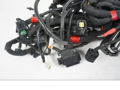 Extrabild1 på Kabelstam från en Ducati Hyperstrada -2013 motorcykel.