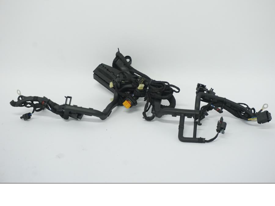 Baksidan på Kabelstam från en BMW R 1250 GS -2022 motorcykel.