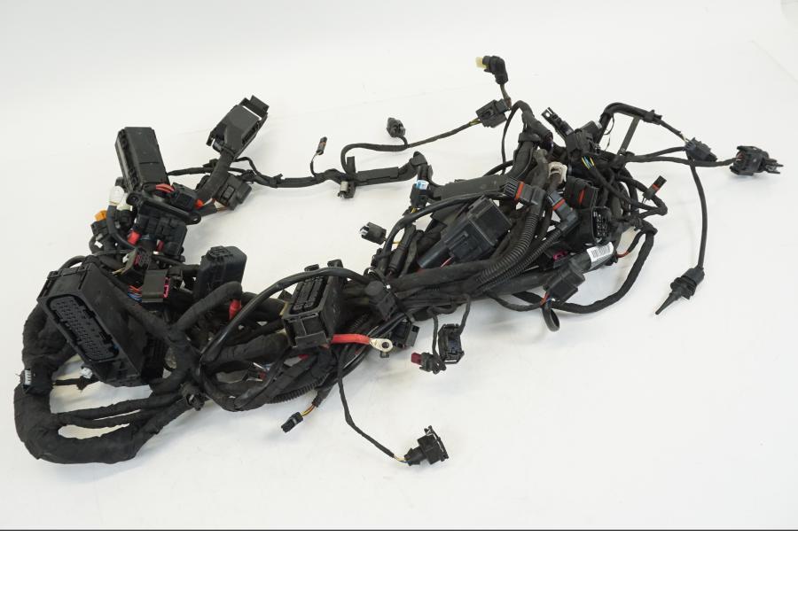 Extrabild1 på Kabelstam från en BMW R 1250 GS -2019 motorcykel.