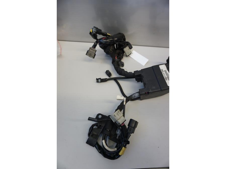 Baksidan på Kabelstam från en H-D Street Glide FLHX -2015 motorcykel.