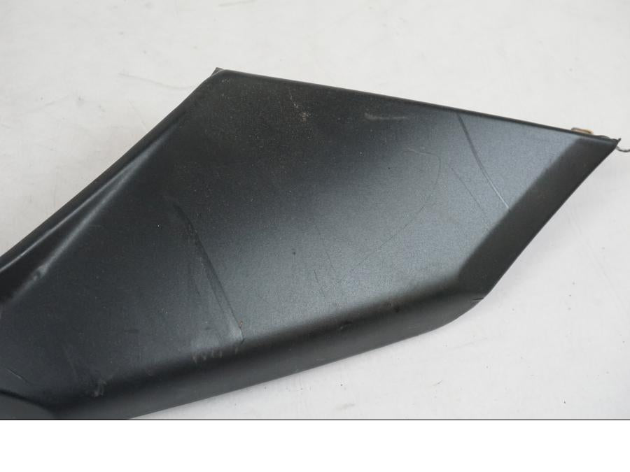 Baksidan på Bakvinge från en BMW F 800 GS -2008 motorcykel.