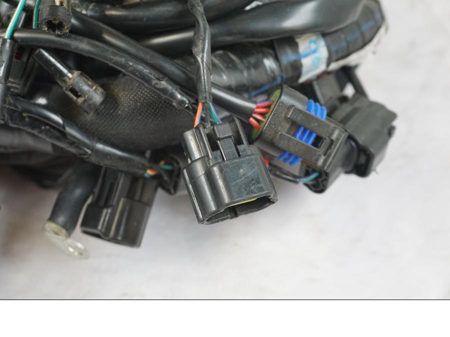 Höger sida på Kabelstam från en Triumph Tiger 1200 -2018 motorcykel.