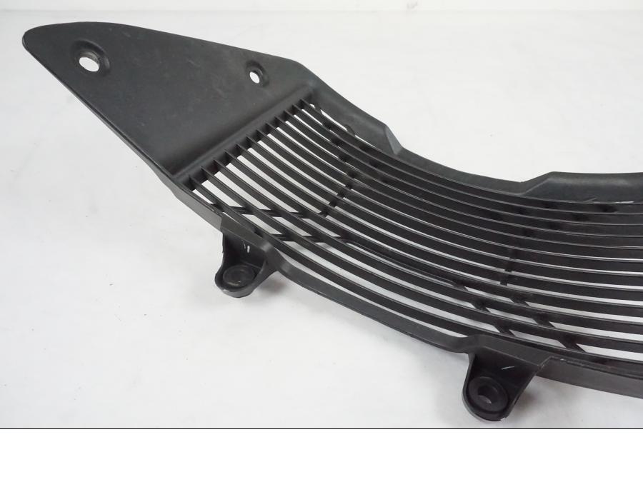 Vänster sida på Vattenkylgaller från en KTM 390 Adventure -2021 motorcykel.