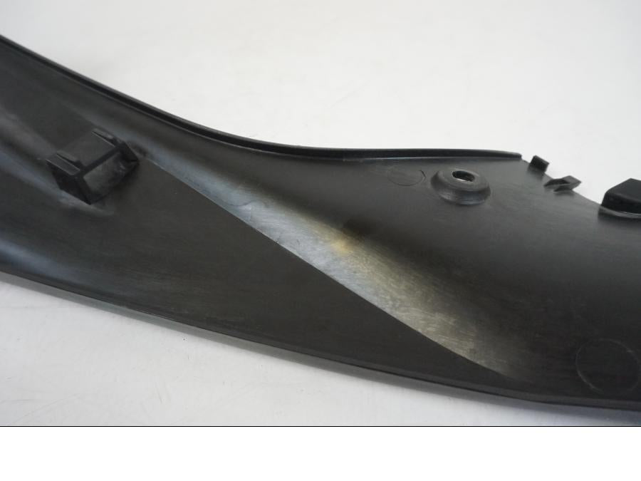 Extrabild1 på Sidopanel från en BMW S 1000 R -2019 motorcykel.